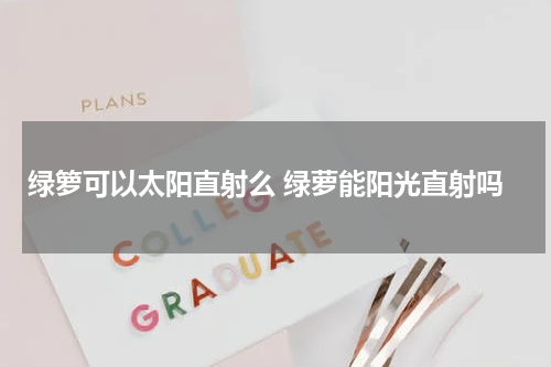 绿箩可以太阳直射么 绿萝能阳光直射吗