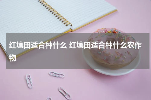 红壤田适合种什么 红壤田适合种什么农作物