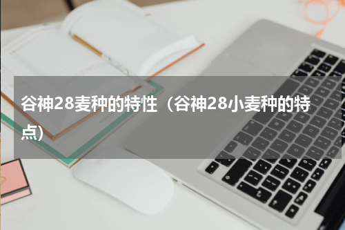 谷神28麦种的特性（谷神28小麦种的特点）