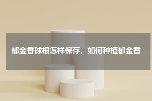 郁金香球根怎样保存，如何种植郁金香