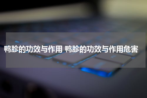 鸭胗的功效与作用 鸭胗的功效与作用危害