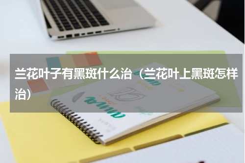 兰花叶子有黑斑什么治（兰花叶上黑斑怎样治）