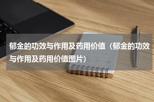 郁金的功效与作用及药用价值（郁金的功效与作用及药用价值图片）