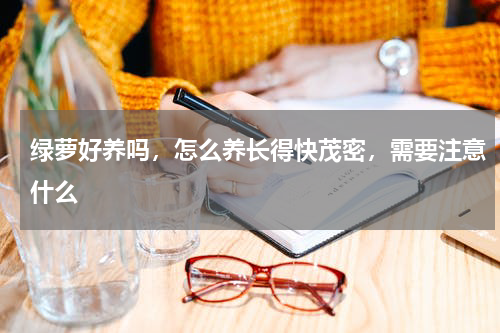 绿萝好养吗，怎么养长得快茂密，需要注意什么