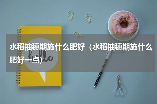 水稻抽穗期施什么肥好（水稻抽穗期施什么肥好一点）