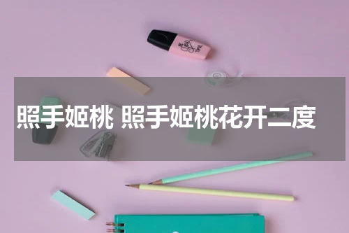 照手姬桃 照手姬桃花开二度