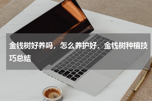 金钱树好养吗，怎么养护好，金钱树种植技巧总结