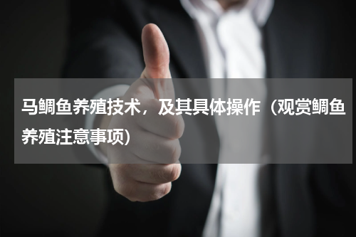 马鲷鱼养殖技术，及其具体操作（观赏鲷鱼养殖注意事项）