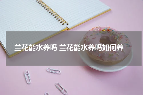 兰花能水养吗 兰花能水养吗如何养