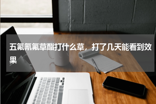 五氟氰氟草酯打什么草，打了几天能看到效果