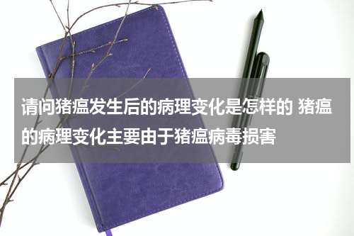 请问猪瘟发生后的病理变化是怎样的 猪瘟的病理变化主要由于猪瘟病毒损害