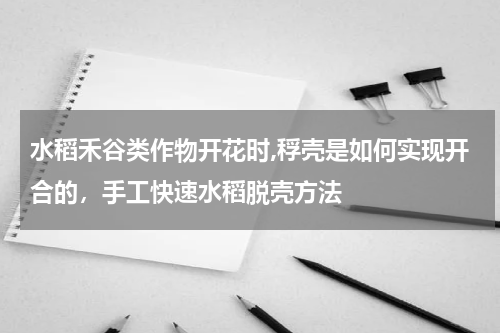 水稻禾谷类作物开花时,稃壳是如何实现开合的，手工快速水稻脱壳方法