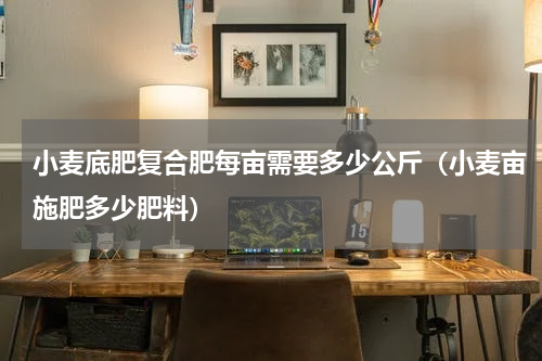 小麦底肥复合肥每亩需要多少公斤（小麦亩施肥多少肥料）