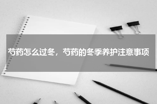 芍药怎么过冬，芍药的冬季养护注意事项