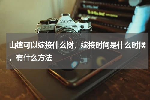 山楂可以嫁接什么树，嫁接时间是什么时候，有什么方法