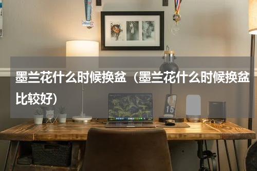 墨兰花什么时候换盆（墨兰花什么时候换盆比较好）