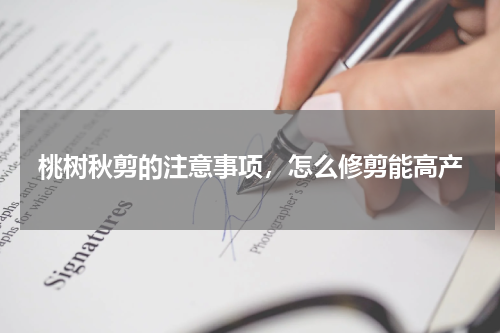 桃树秋剪的注意事项，怎么修剪能高产