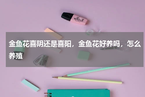 金鱼花喜阴还是喜阳，金鱼花好养吗，怎么养殖