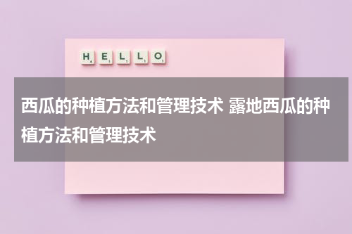 西瓜的种植方法和管理技术 露地西瓜的种植方法和管理技术