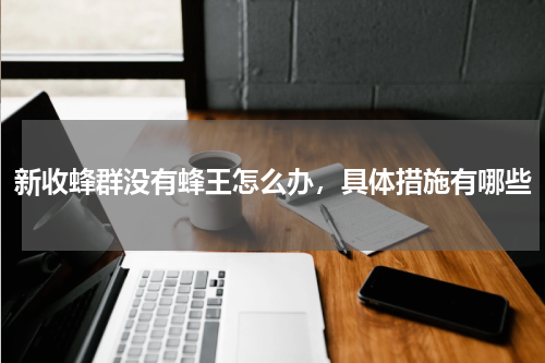 新收蜂群没有蜂王怎么办，具体措施有哪些