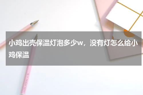小鸡出壳保温灯泡多少w，没有灯怎么给小鸡保温