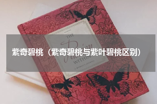 紫奇碧桃（紫奇碧桃与紫叶碧桃区别）