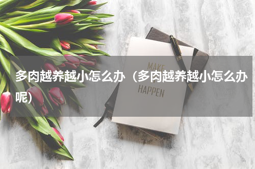 多肉越养越小怎么办（多肉越养越小怎么办呢）