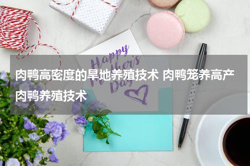 肉鸭高密度的旱地养殖技术 肉鸭笼养高产肉鸭养殖技术