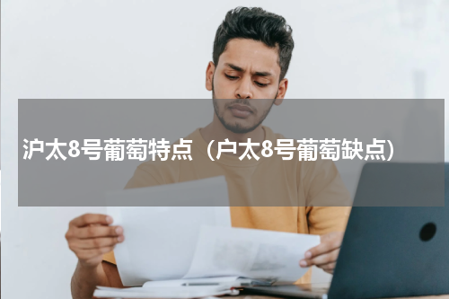 沪太8号葡萄特点（户太8号葡萄缺点）