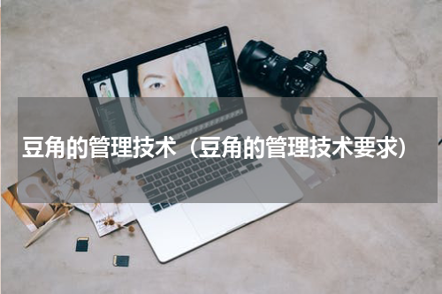 豆角的管理技术（豆角的管理技术要求）