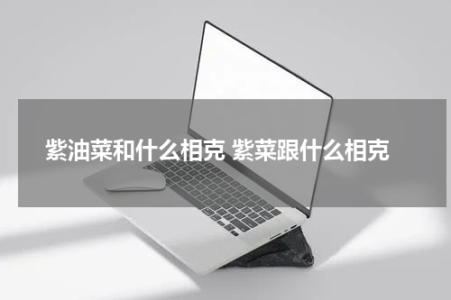 紫油菜和什么相克 紫菜跟什么相克