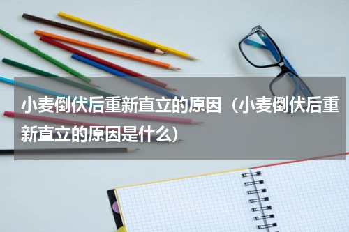 小麦倒伏后重新直立的原因（小麦倒伏后重新直立的原因是什么）
