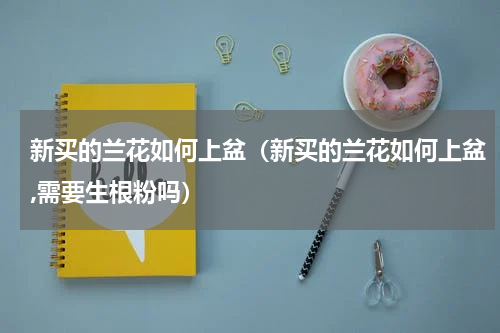 新买的兰花如何上盆（新买的兰花如何上盆,需要生根粉吗）