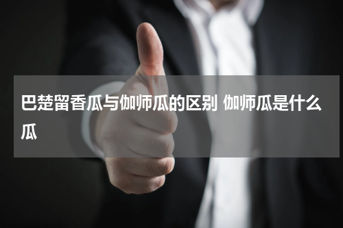 巴楚留香瓜与伽师瓜的区别 伽师瓜是什么瓜