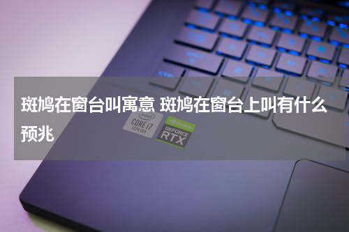 斑鸠在窗台叫寓意 斑鸠在窗台上叫有什么预兆