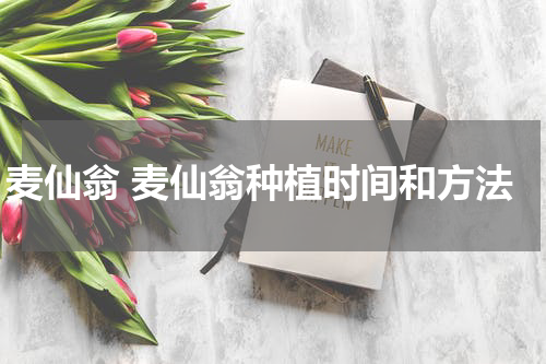 麦仙翁 麦仙翁种植时间和方法