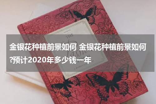 金银花种植前景如何 金银花种植前景如何?预计2020年多少钱一年