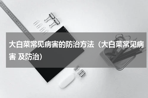 大白菜常见病害的防治方法（大白菜常见病害 及防治）