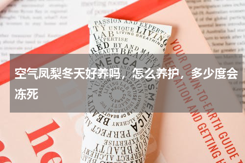 空气凤梨冬天好养吗，怎么养护，多少度会冻死