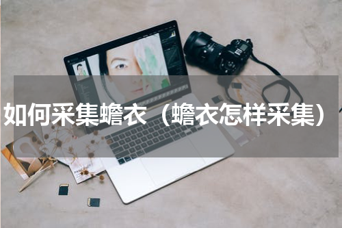 如何采集蟾衣（蟾衣怎样采集）