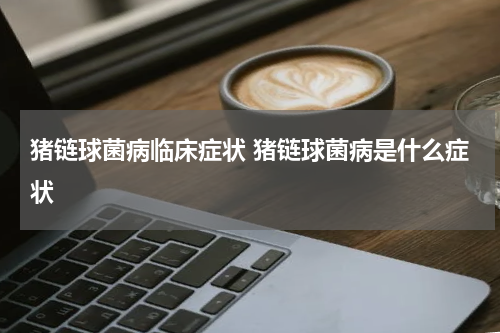 猪链球菌病临床症状 猪链球菌病是什么症状