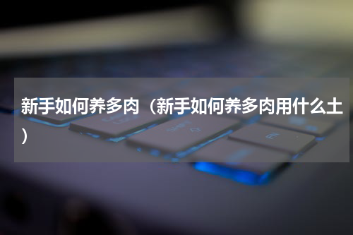 新手如何养多肉（新手如何养多肉用什么土）