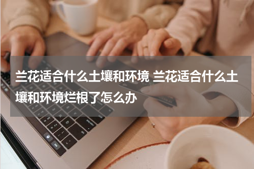 兰花适合什么土壤和环境 兰花适合什么土壤和环境烂根了怎么办