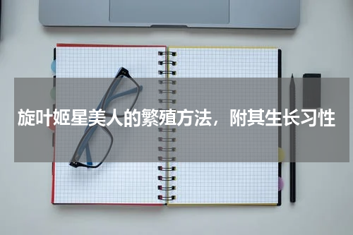 旋叶姬星美人的繁殖方法，附其生长习性