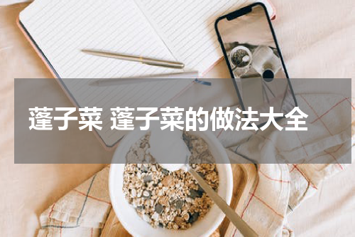 蓬子菜 蓬子菜的做法大全