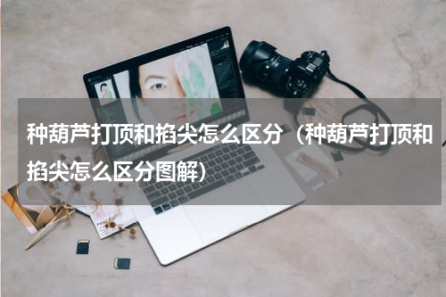 种葫芦打顶和掐尖怎么区分（种葫芦打顶和掐尖怎么区分图解）