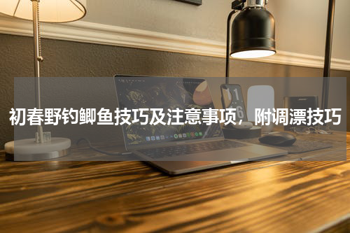 初春野钓鲫鱼技巧及注意事项，附调漂技巧