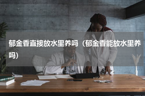 郁金香直接放水里养吗（郁金香能放水里养吗）