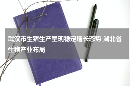 武汉市生猪生产呈现稳定增长态势 湖北省生猪产业布局