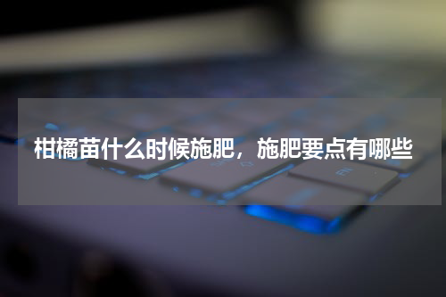 柑橘苗什么时候施肥，施肥要点有哪些